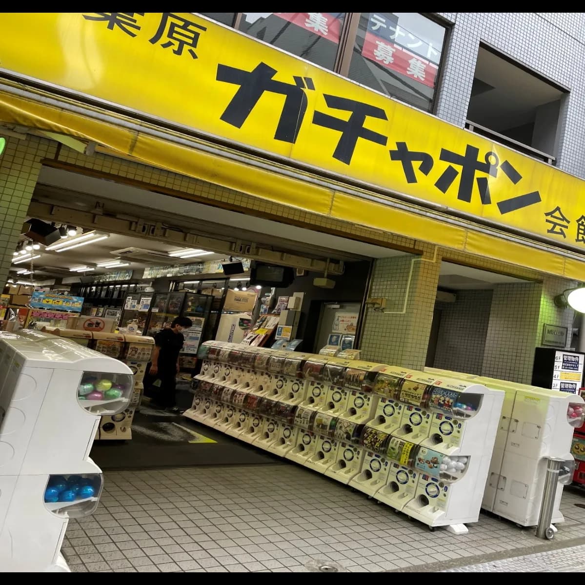大人も夢中になる。秋葉原ガチャポン会館を探索の旧おめぐり編集部による取材写真