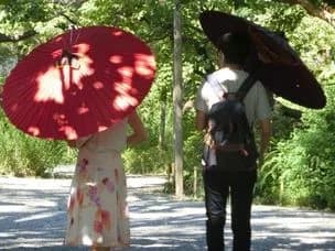 秋葉原から少し足を延ばす。旧岩崎邸庭園で明治建築に出会うの取材写真 6