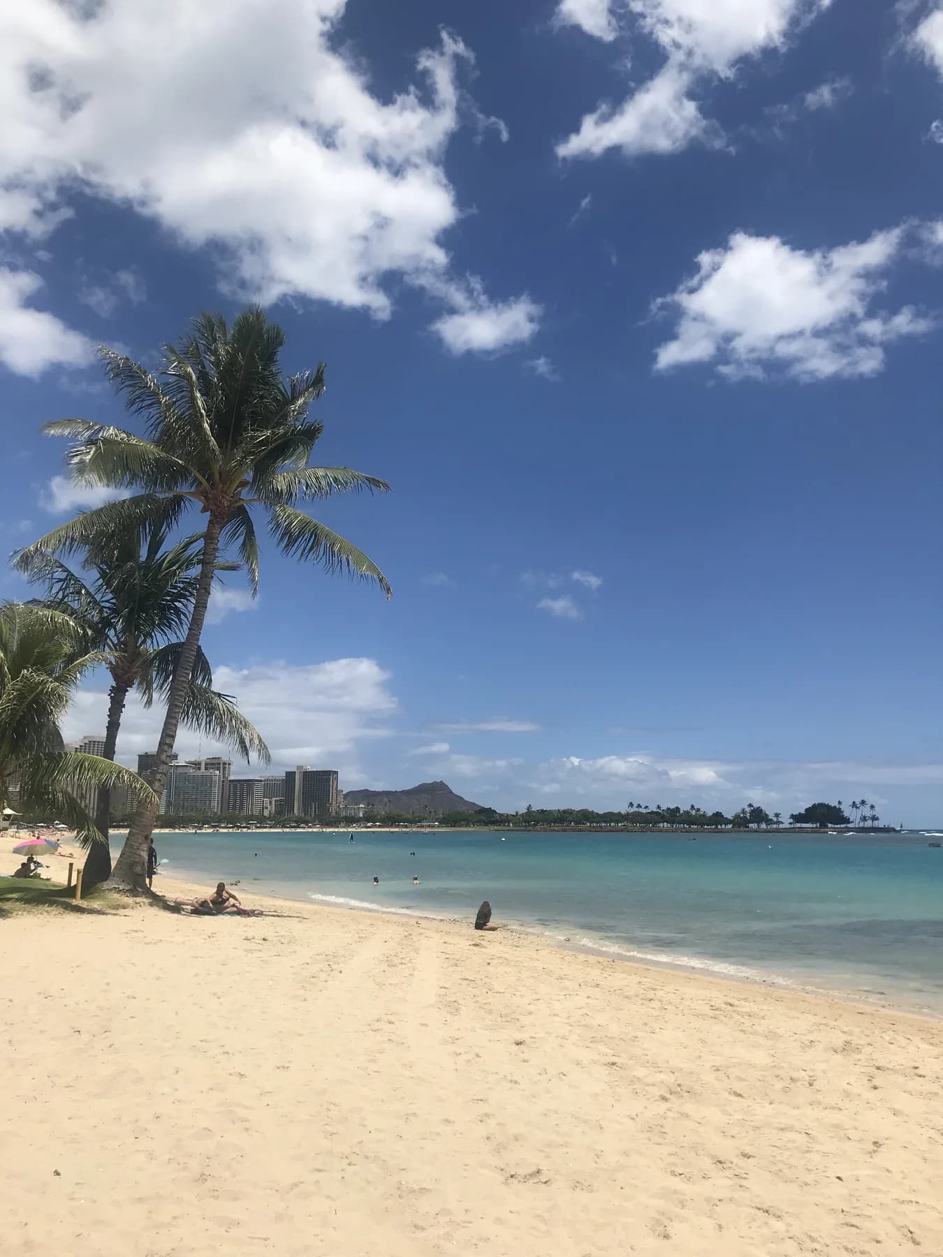 青い海とヤシの木の向こうに見えるダイヤモンドヘッド