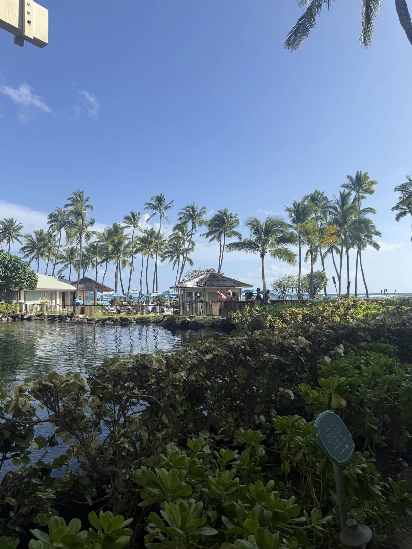 ヤシの木とラグーンが広がる緑豊かな庭園