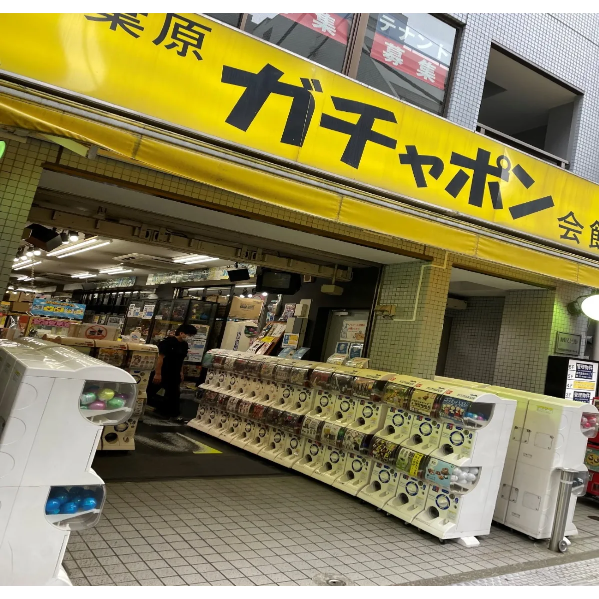 大人も夢中になる。秋葉原ガチャポン会館を探索の旧おめぐり編集部による取材写真